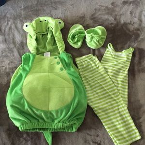 Turtle costume